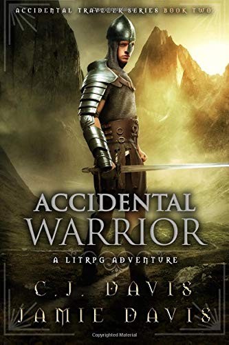 Jamie Davis, C. J. Davis: Accidental Warrior (Paperback, CreateSpace Independent Publishing Platform)