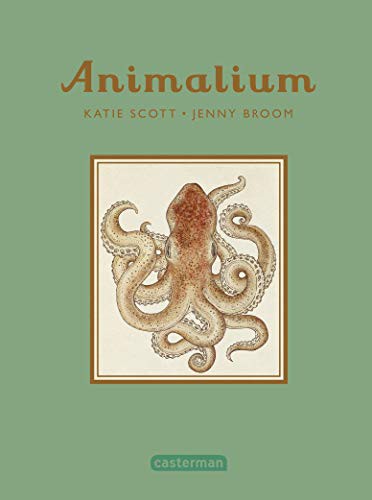 Katie Scott, Jenny Broom, Emmanuel Gros: Animalium (Paperback, CASTERMAN)