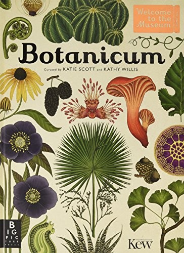 Author: Botanicum (Hardcover, Big Picture Press, imusti)