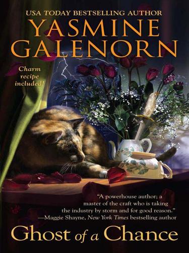 Yasmine Galenorn: Ghost of a Chance (EBook, 2009, Penguin USA, Inc.)