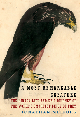 Jonathan Meiburg: A Most Remarkable Creature (Paperback, Vintage)