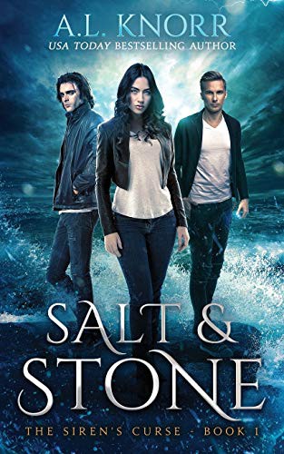 A.L. Knorr: Salt & Stone (Paperback, Intellectually Promiscuous Press)