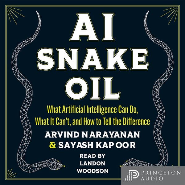 Arvind Narayanan, Sayash Kapoor: AI Snake Oil (AudiobookFormat, Princeton University Press)