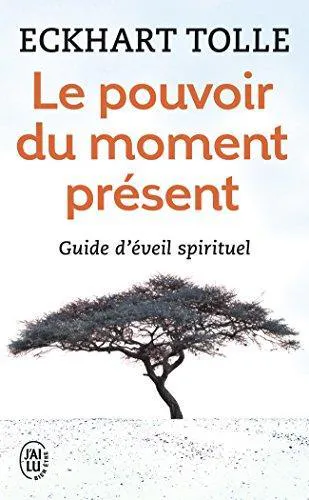 Eckhart Tolle: Le pouvoir du moment présent (French language, 2010, J'ai Lu)