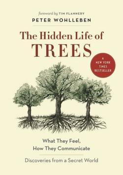 Fred Bernard, Peter Wohlleben, Benjamin Flao: The Hidden Life of Trees (2016)