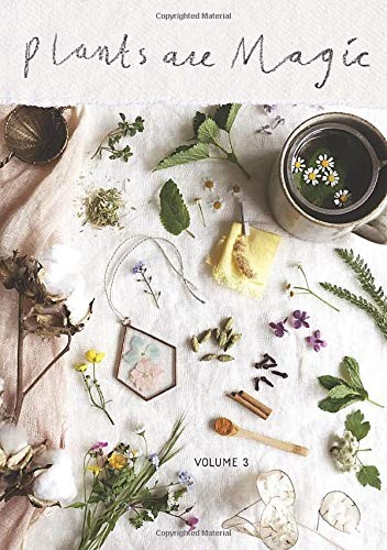 Rebecca Desnos: Plants Are Magic Magazine - Volume 3 (Paperback, Rebecca Desnos)