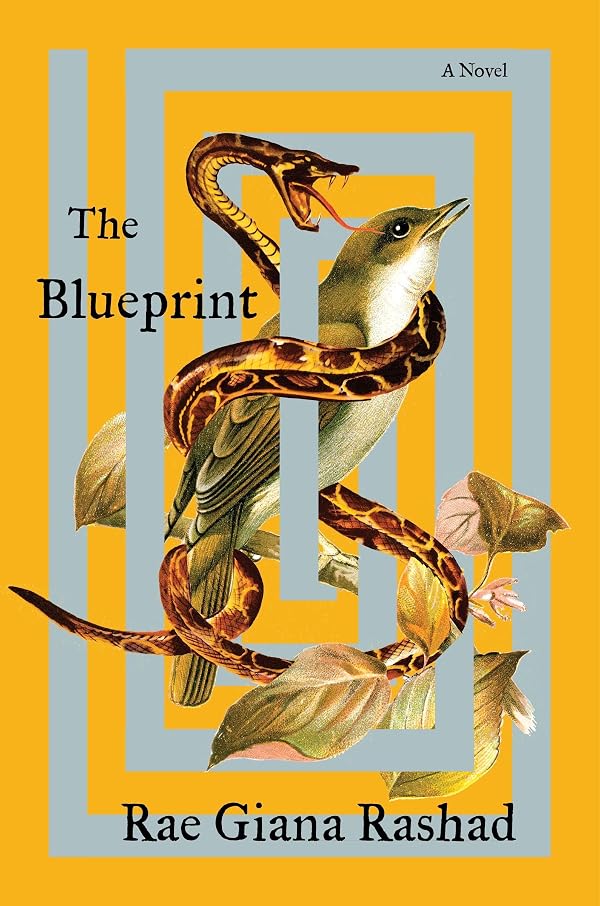 Rae Giana Rashad: The Blueprint (Hardcover, 2024, HarperCollins Publishers)