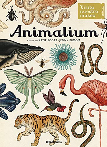 Katie Scott: Animalium (Paperback, Océano Travesía)