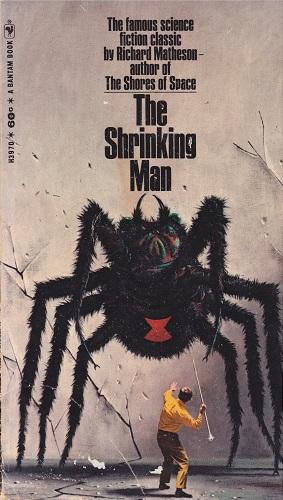 Richard Matheson: The Shrinking Man (Paperback, 1969, Bantam Books)