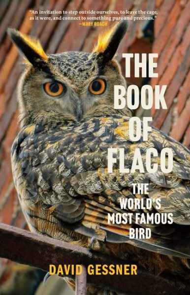 David Gessner: Book of Flaco (Paperback, 2025, Carolina Wren Press)
