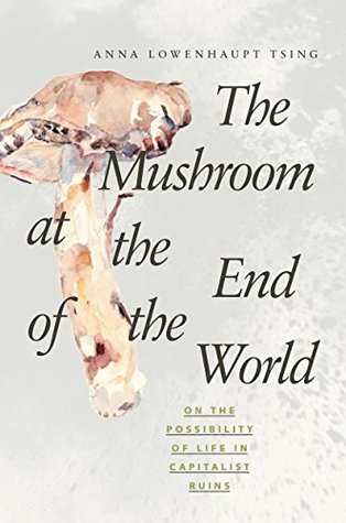 Anna Lowenhaupt Tsing: The Mushroom at the End of the World (2015)