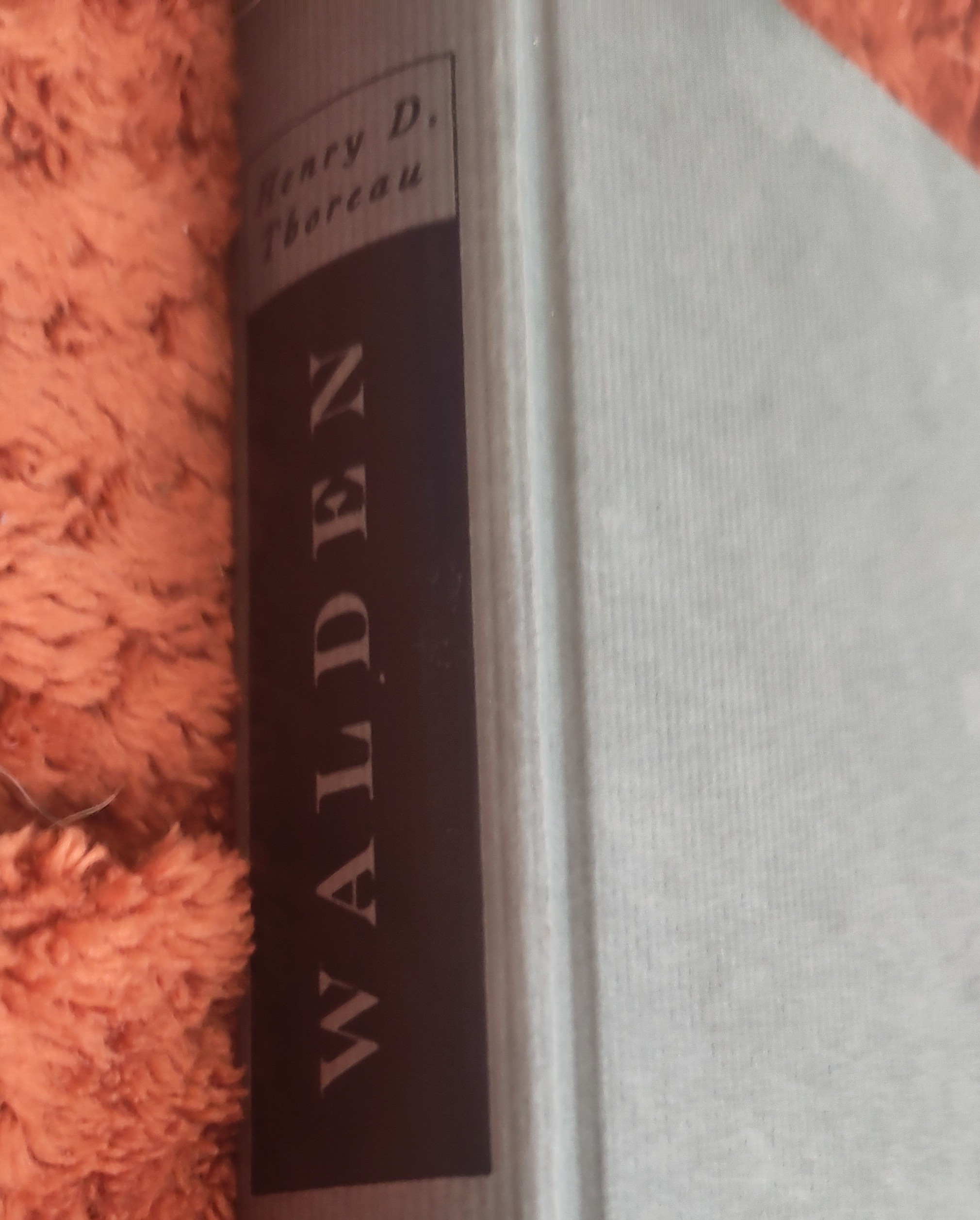 Henry David Thoreau, Danele Sarriugarte: Walden (Hardcover, german language, Anaconda)