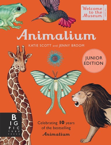 Katie Scott, Jenny Broom, Emmanuel Gros: Animalium (Paperback, CASTERMAN)