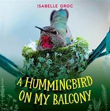 Isabelle Groc: A Hummingbird on My Balcony (Hardcover, 2025, Orca Book Publishers USA)