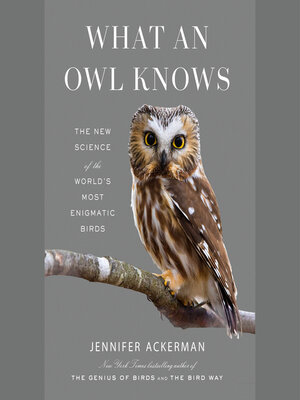 Jennifer Ackerman: What an Owl Knows (AudiobookFormat, 2023, Books on Tape)