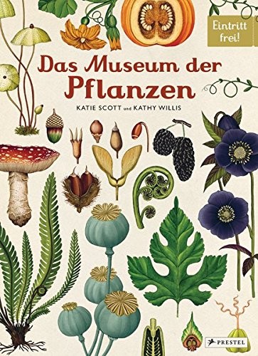 Katie Scott, Kathy Willis: Das Museum der Pflanzen (Hardcover, Prestel Verlag)