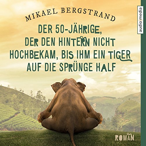 Mikael Bergstrand: Der 50-Jährige, der den Hintern nicht hochbekam, bis ihm ein Tiger auf die Sprünge half (AudiobookFormat, German language, 2016, Audio Media Verlag)