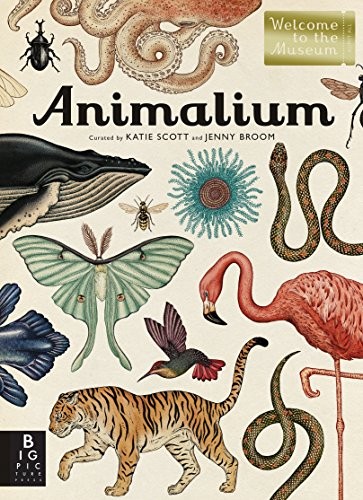 Jenny Broom: Animalium: Welcome to the Museum (Big Picture Press)