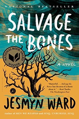 Jesmyn Ward: Salvage the Bones (Paperback, Bloomsbury USA)