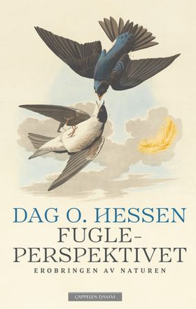 Dag Olav Hessen: Fugleperspektivet (EBook, Norwegian language, 2025, Cappelen Damm)