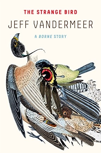 Jeff VanderMeer: The Strange Bird: A Borne Story (Kindle Single) (EBook, 2017, MCD x FSG Originals)