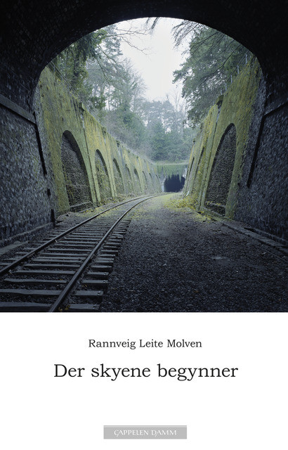 Rannveig Fern Leite Molven: Der skyene begynner (EBook, Norwegain language, 2015, Cappelen Damm)