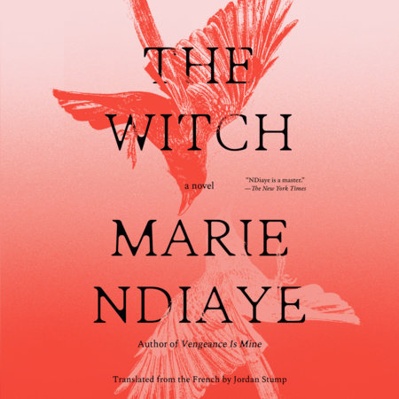 Marie NDiaye, Virginia Grainger (audiobook reader), Jordan Stump (translator): The Witch (AudiobookFormat, Random House Audio)