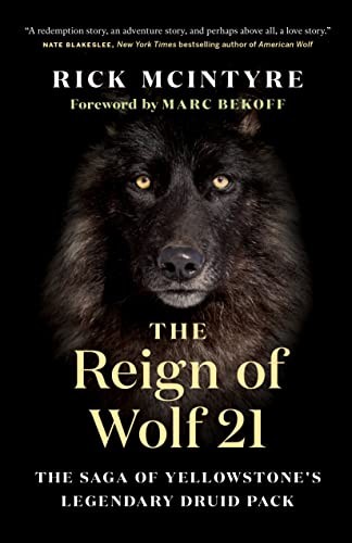 Rick McIntyre, Marc Bekoff: Reign of Wolf 21 (2020, Greystone Books Ltd., Greystone Books)