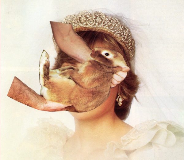 Sonja Ahlers: Classification Crisis (Hardcover, english language, conundrum press)