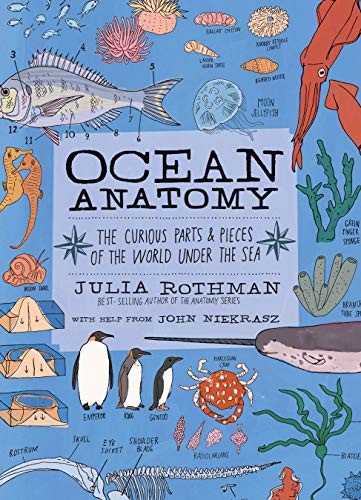 Julia Rothman, John Niekrasz: Ocean Anatomy (Paperback, Storey Publishing, LLC)