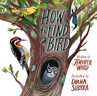 Jennifer Ward, Diana Sudyka: How to Find a Bird (2020, Beach Lane Books)