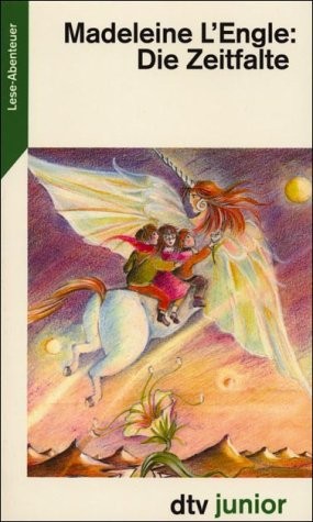 Die Zeitfalte (Paperback)