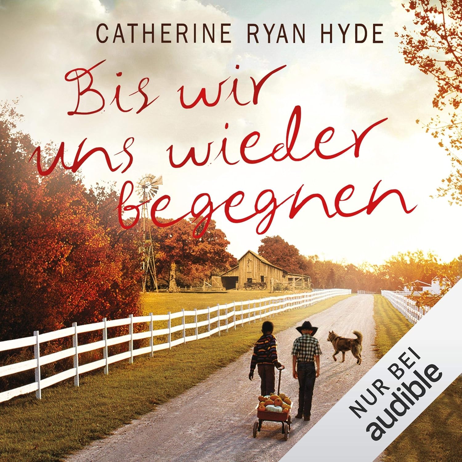 Catherine Ryan Hyde: Bis wir uns wieder begegnen (AudiobookFormat, Deutsch language, 2018, Amazon EU S.à r.l.)
