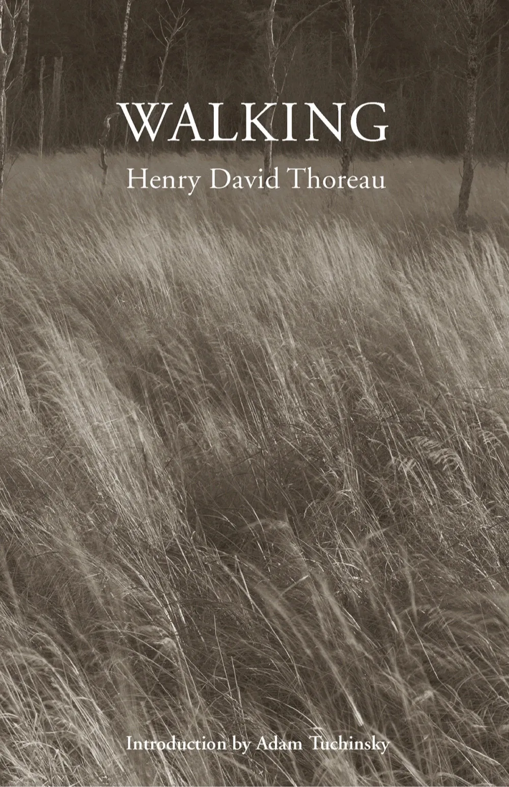 Henry David Thoreau: Walking (2017)