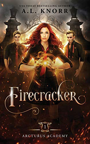 A.L. Knorr: Firecracker (Paperback, Intellectually Promiscuous Press)