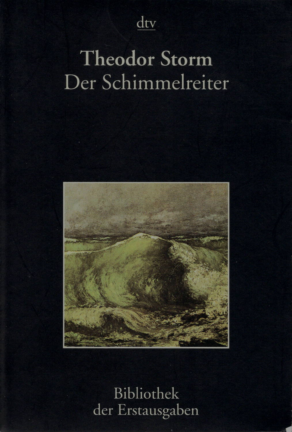 Theodor Storm: Der Schimmelreiter (Paperback, German language, Dtv)